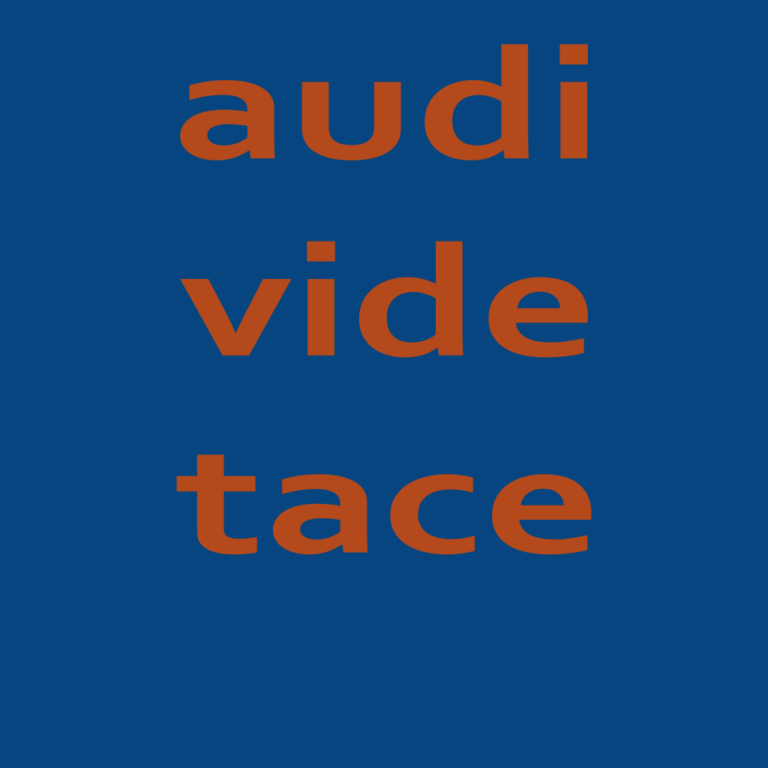 Audi vide sile перевод