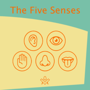 The Five Senses – Square Magazine