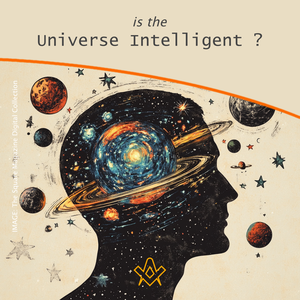 Is the Universe Intelligent ?